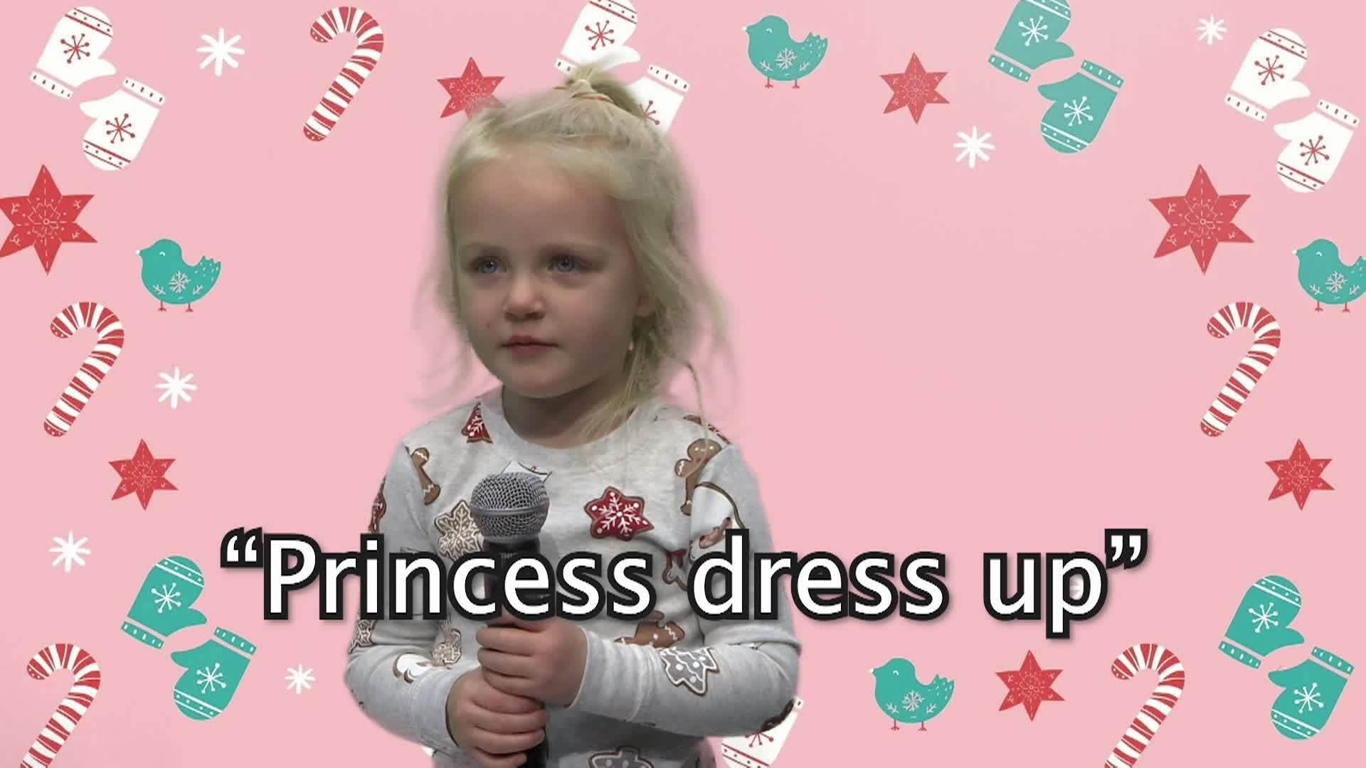 2025 Holiday Show Cougar Cubs